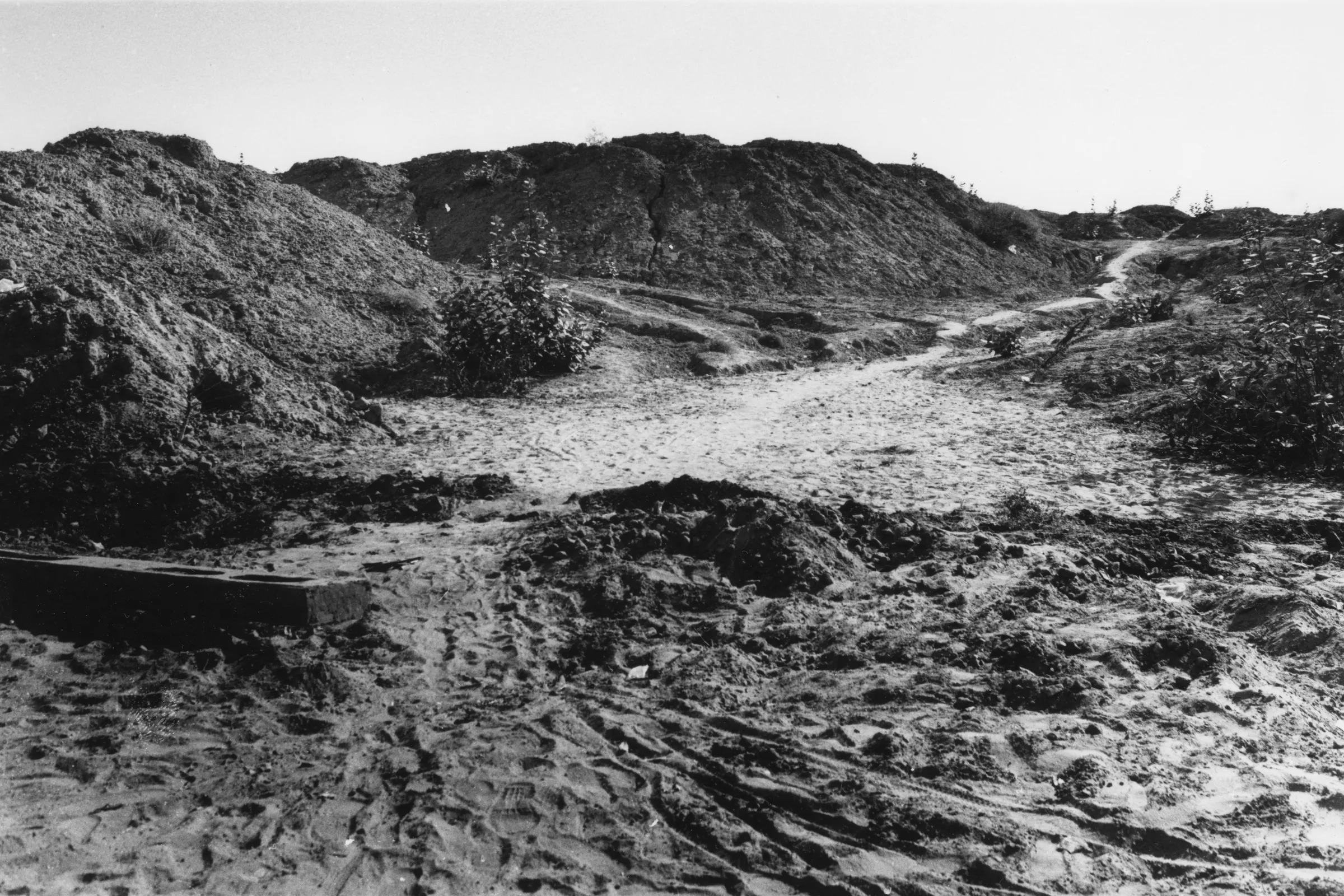 Can You Smell the Divine Fragrance in Town