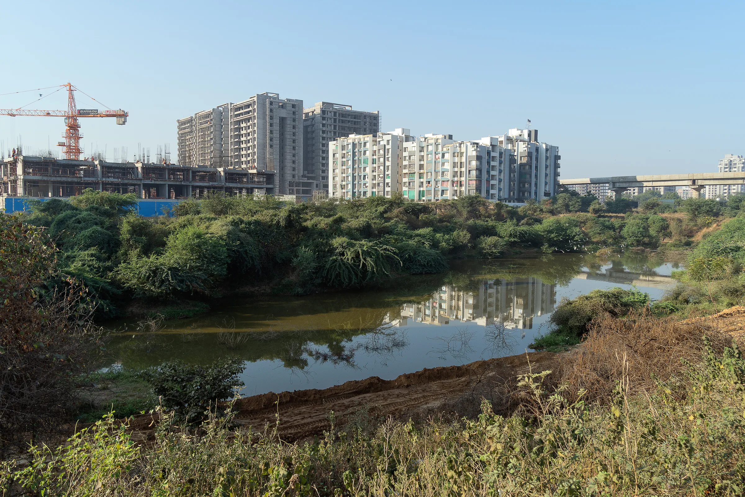 Can You Smell the Divine Fragrance in Town