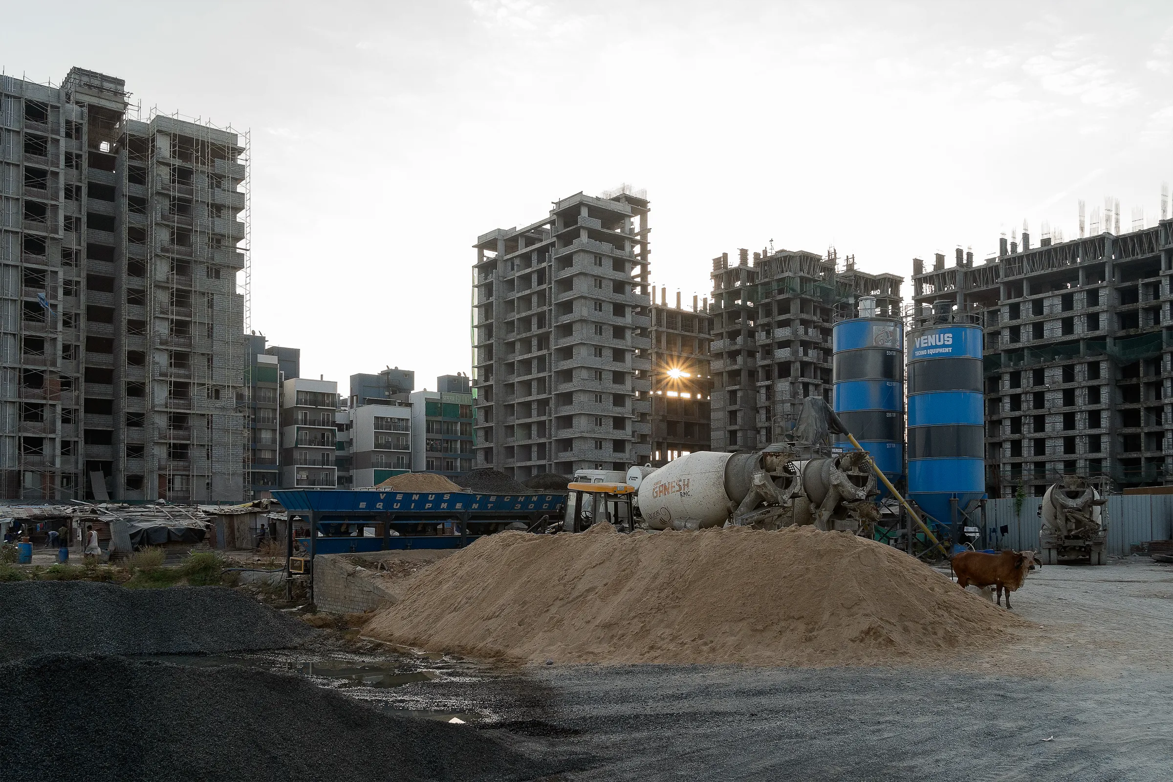 Can You Smell the Divine Fragrance in Town